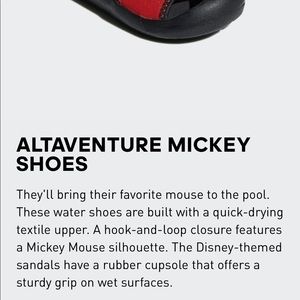 altaventure mickey shoes